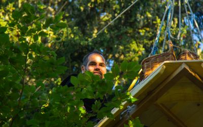 Cabanes dans les arbres Lyon